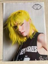 Hayley williams poster for sale  BLACKBURN