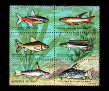Fish Brasil 1976 Mi 1545-1550, Sn 1465a, Yt 1206-1211, RHM C-939-944 ESTADO PERFEITO comprar usado  Brasil 