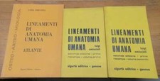 Lineamenti anatomia umana. usato  Trento