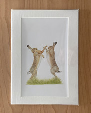 Boxing hares drawing for sale  BRIDGNORTH