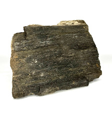 Versteinertes holz indonesien gebraucht kaufen  Gronau