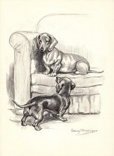 Vintage dachshund dog for sale  Harborton