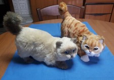 Due meravigliosi gatti usato  Lecce