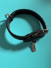Look coach dog for sale  Springfield