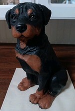 big rottweiler for sale big rottweiler for sale North Fort Myers