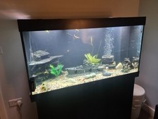 Juwel rio 350 for sale  CHESTERFIELD