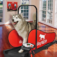 Dogpacer dog treadmill for sale  Las Vegas