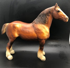 chestnuts horse for sale chestnuts horse for sale Santee