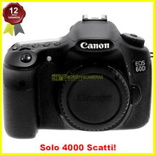 Canon eos 60d usato  Busto Arsizio