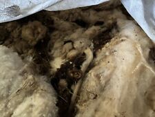 Raw sheep wool for sale  LLANDYSUL