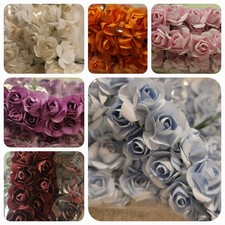 720 stück rosen gebraucht kaufen  Hechingen