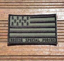 écusson breizh vert d'occasion écusson breizh vert d'occasion  Pleudihen-sur-Rance