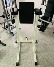 Technogym panca dip usato  Botticino