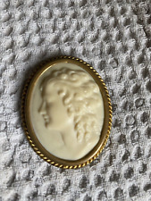 Broche camée résine d'occasion  Le Mans