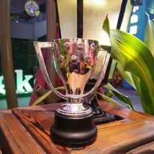 Troféu de futebol espanhol La Liga réplica de resina 18 cm altura comprar usado  Enviando para Brazil