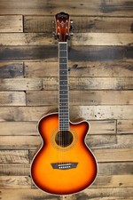 Washburn ea15 festival for sale  Pleasant Hill