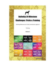 Bullwhip milestone challenges gebraucht kaufen  Trebbin