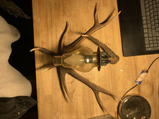 Hirschgeweih lampe flurlampe gebraucht kaufen  Röttenbach