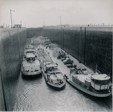 Vogelgrun 1960 canal d'occasion  Expédié en Belgium