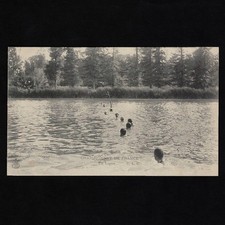 Old postcard swimming d'occasion  Expédié en Belgium