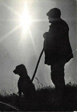 Berger chien savoie d'occasion  Rioz