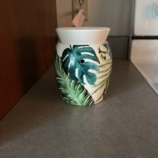 Scentsy rainforest fern for sale  Watertown