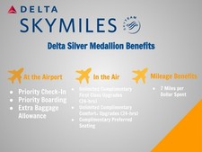 Medalhão de prata Delta status até janeiro de 2027 por 1,5 anos!!! Para 1 pessoa comprar usado  Enviando para Brazil