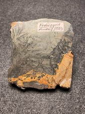 Federpyrit neudorf harz gebraucht kaufen  Grimma