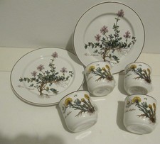 Villeroy boch botanica gebraucht kaufen  Gummersbach