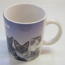Iams cat food for sale  Edgerton