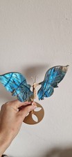 Labradorit schmetterling flüg gebraucht kaufen  Fockbek
