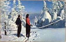 Vintage ski skiing for sale  Saco