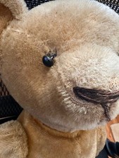 American teddy bear for sale  South Weymouth