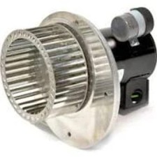 Field motor squirrel for sale  Waterbury