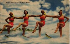 Cartão postal Dr Jim Stamps esqui aquático por Florida Aqua Maids linho comprar usado  Enviando para Brazil