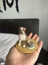 Boxer dog sitting for sale  WORTHING