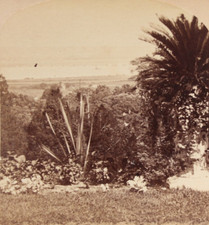 Ireland stereoview killarney for sale  Moss Landing