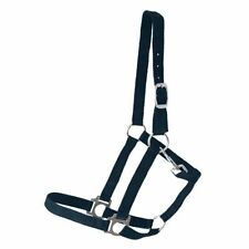 Halfter mini shetty gebraucht kaufen  Marl