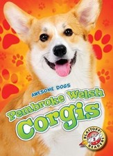 Pembroke welsh corgis for sale  Aurora