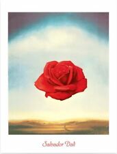 Salvador dali rose gebraucht kaufen  Deutschland