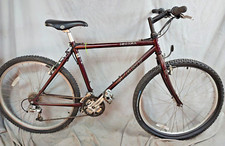 1998 giant iguana for sale  Madison