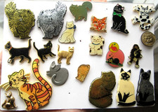 moggies for sale  LOUGHBOROUGH