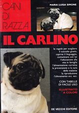 Carlino simone vecchi usato  Bastia Umbra