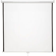 Beamer leinwand rollo gebraucht kaufen  Igersheim