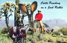 Exaggerated rabbit cattle for sale  Warminster