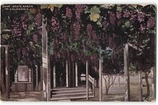 1919 grape arbor for sale  Sebastian