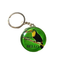Keel bill toucan for sale  Paducah