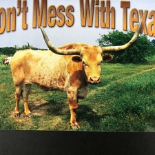 Mess texas postcard for sale  Oregon