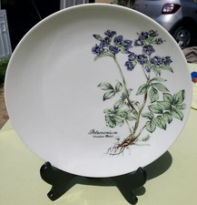 Assiette plate porcelaine d'occasion  Avignon