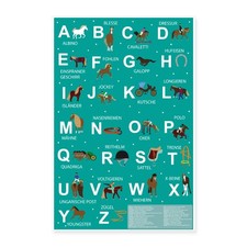 Alphabet lernposter pferde gebraucht kaufen  Leipzig